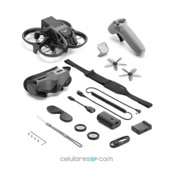 DRON DJi AVATA PRO VIEW COMBO + GOOGLES 2